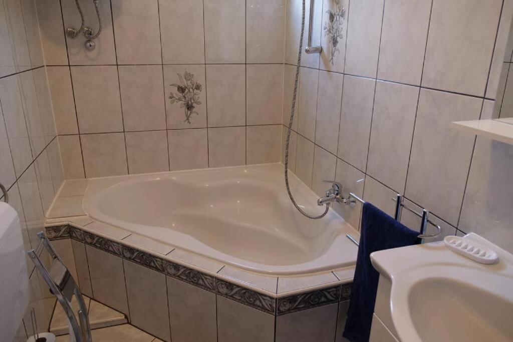 Apartman Carsko Rijeka Dış mekan fotoğraf